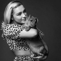 Jurídico Florence Pugh ᰔ (@widowpugh) 's Twitter Profile