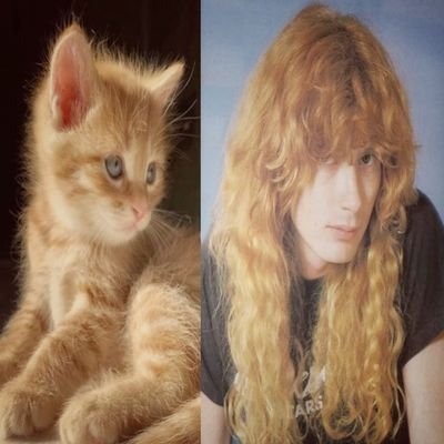 { ... } ⠀. . . 𝖽𝖺𝗒 𝖽𝗋𝖾𝖺𝗆𝗂𝗇𝗀 𝖺𝖻𝗈𝗎𝗍 ♡ #guidomista n' @slash
𝖱𝖮𝖢𝖪 ★ 𝗦𝗧𝗔𝗥 🎸
୨୧ #jjba ‹𝟹 #gunsnroses ──♡‶