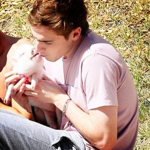 Kendall Schmidt is my owner