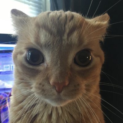 0xJuicer's profile picture. One of the world’s leading blockchain experts. Please be patient I have autism.