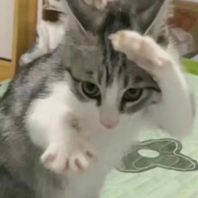 jjjigae_'s profile picture. 일기장