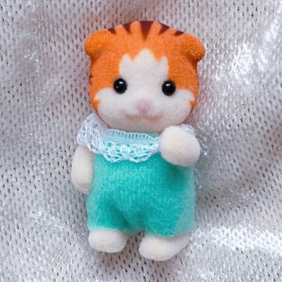 通知は切っています。⚠️無断転載・無断使用禁止 ⚠️Repost is prohibited. ※ご連絡いただいても使用許可は致しません。