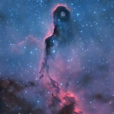 moblebo's profile picture. 🚣🏽