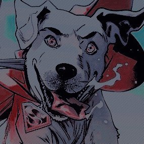 DOGOFTOMORROW's profile picture. 