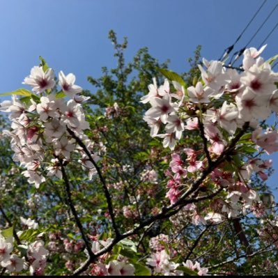 8lvFOpnWJw65843's profile picture. 【國民が目覚め、日本の主権を取り戻す、つながったらパワーになる、社会を変えられる】【①陰陽、中庸思想。 ② 和を以て貴しと為す】 専門は 金融、証券、製薬会社関連のIT業務の経験、日本の歴史真実を探求。吉田松蔭の思想から明治維新〜大東亜戦争、日本は侵略戦争していないアジア解放のための戦争であったことを主張。