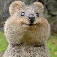 jonathanc-n (@jonathanc_n) 's Twitter Profile