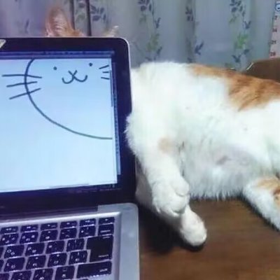 sf10066673781's profile picture. 