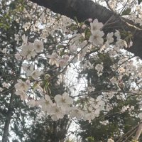 OfMyriad_study_8869 (@of__study) 's Twitter Profile
