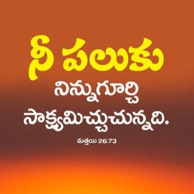 y_konala's profile picture. 