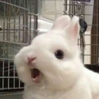 maya09791's profile picture. abluble