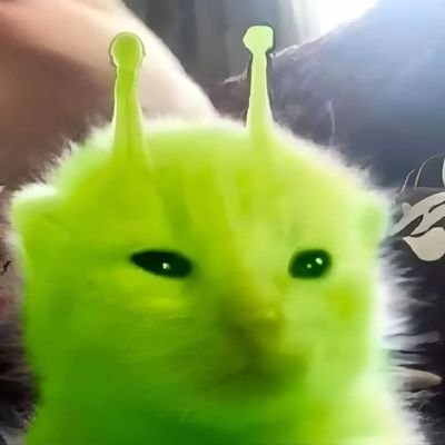 Bessさんのプロフィール画像