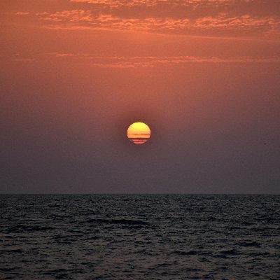 ambientvis's profile picture. 