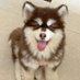 Lady who loves strawberries🍓 (@dncyn61326329) Twitter profile photo Lady who loves strawberries🍓 (@dncyn61326329) Twitter profile photo