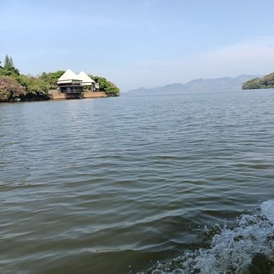 angelRamre84425's profile picture. 