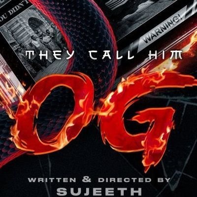 Hungry cheetah Profile