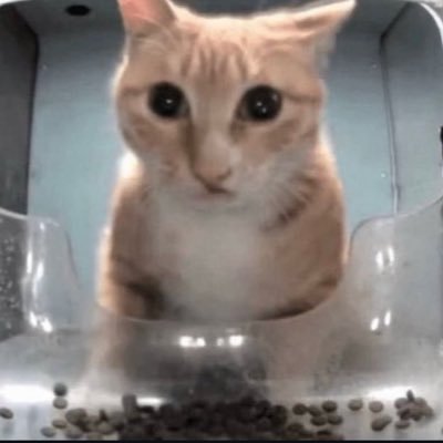 Huski/Huhtala/Proffa Profile