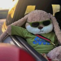 sunrise (@kmisluk6565) 's Twitter Profile