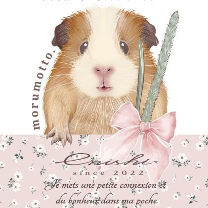 大人かわいいモルモット&ハムスター雑貨💐
✤5月23日 発売『ANIMAL2025』掲載 ✤モルモットジュエリー完成
✤10月2日(木)~10月7日(火)
あべのハルカス近鉄本店 げっ歯類の集い
✤10月10日(金)〜12日(日)モルモット絵画展
・静岡県沼津市