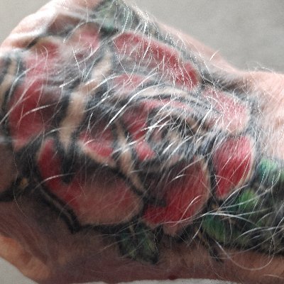 rchrdhwrd49's profile picture. 