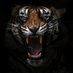Prince Pathak (@s_c_pathak__) Twitter profile photo Prince Pathak (@s_c_pathak__) Twitter profile photo