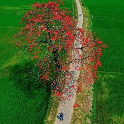 abutaher_m53946's profile picture. 