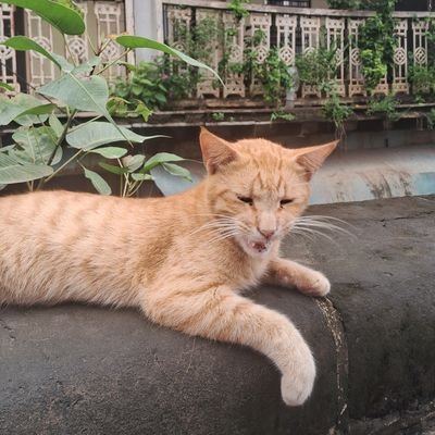 Features writer and journalist @HTBrunch ; Formerly @mid_day .
I'm interested in stories centered around art, literature, poetry, music, and health.