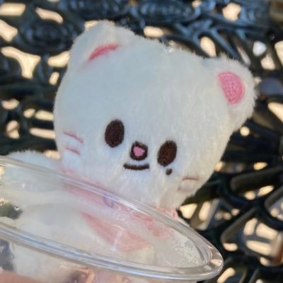 moimoikiitos143's profile picture. あんなに避けてたのに…なぜか突然「Twitterをしなければならぬ！」と思った完全にTwitter初心者です。失礼があったらごめんなさい。よろしくお願いします✧