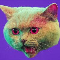 π§ππ₯γ (@thr_x_2024) 's Twitter Profile
