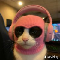 Lockbigboat (@lockbigboat) 's Twitter Profile