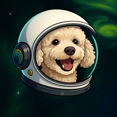 willowiscrypto's profile picture. BTC XRP $JUP