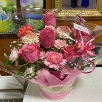 cocoa (@qum373c4tsx3714) 's Twitter Profile