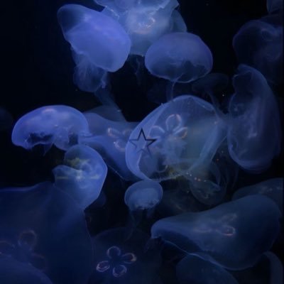 eieieiei246810's profile picture. 