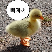 순살메키 (@bonless_meki) 's Twitter Profile Photo 순살메키 (@bonless_meki) 's Twitter Profile Photo