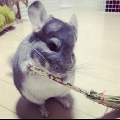 @bofafnr