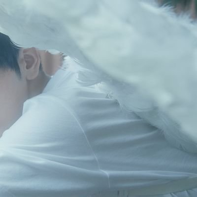 BerylMorninStar's profile picture. ☼ ⋆｡˚⋆ฺ 𖦹