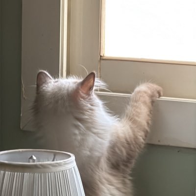 xhi98_18's profile picture. 