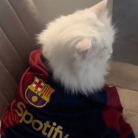 هيرين (@heariinz) 's Twitter Profile
