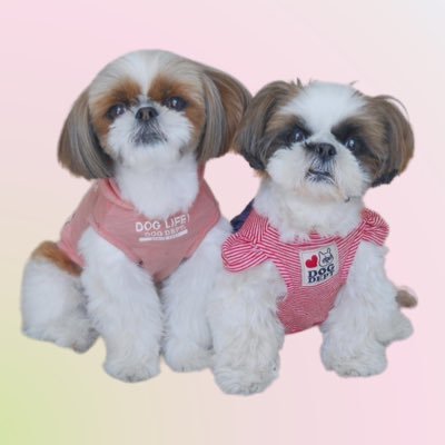 もぐとにこさんのプロフィール画像