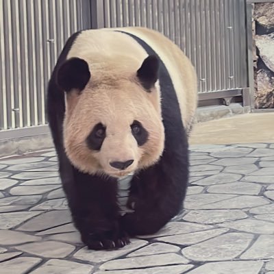 安來さんのプロフィール画像