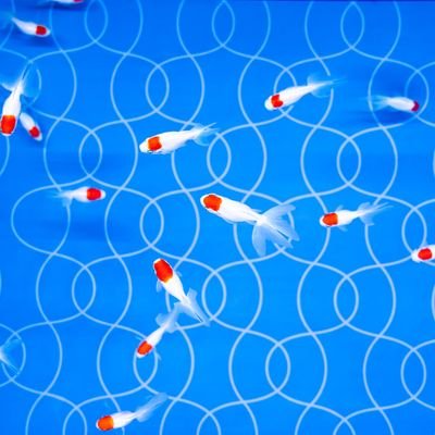 rengephoto's profile picture. 蓮華のカメラアカウントです📸
撮らせて頂いたもののRPや投稿をしていこうと思います🙇
たまに日常のスナップなども📸
#rengephoto