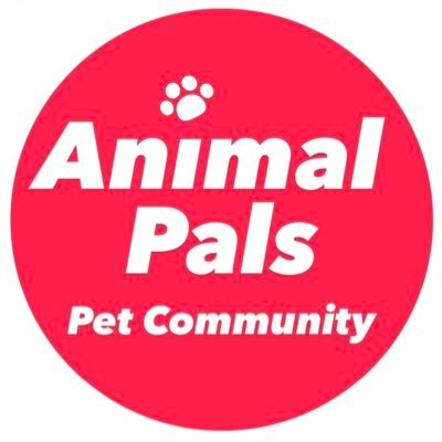 animalpalsltd's profile picture. Building a community and making new friends 🐾