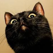 MonadMacro's profile picture. If in doubt, choose freedom. Choose wealth. Opinions ≠ Financial advice.