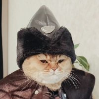 emre ama gelişim içinde bir mevcut olan bide stjdr (@jwoomary) 's Twitter Profile