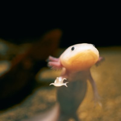き͓̽み͓̽🪺🤫新規予定応相談🤫