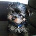 Linda Miller (@lou1derful) Twitter profile photo Linda Miller (@lou1derful) Twitter profile photo