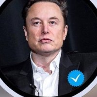 MUSK CEO (@elonmusk96047) 's Twitter Profile