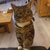 Monty (@pheobepheobe234) 's Twitter Profile