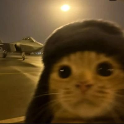 onegoghtradin's profile picture. Mühendis, Borsacı, Yatırımcı, Havacı.