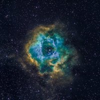 Kong (@kong0xyz) 's Twitter Profile