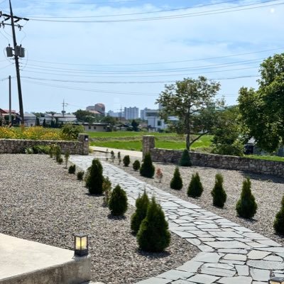 jjangguwan's profile picture. 